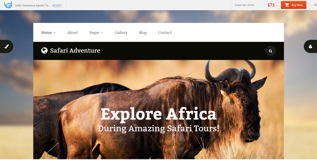 4. Safari Adventure